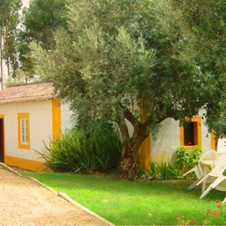 فيلا Quinta Do Pinhal Constância المظهر الخارجي الصورة
